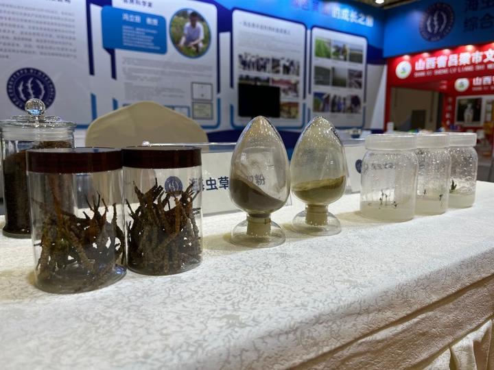 种在盐碱地、灌溉用海水,这样的“海水蔬菜”好吃吗? 种在盐碱地、灌溉用海水,这样的“海水蔬菜”好吃吗?