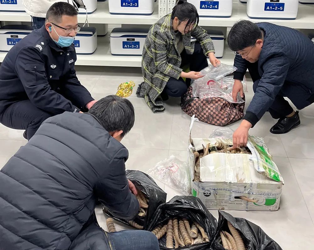 犀牛角可以治病?“网红”带货牵出“地下黑市”…… 犀牛角可以治病?“网红”带货牵出“地下黑市”……