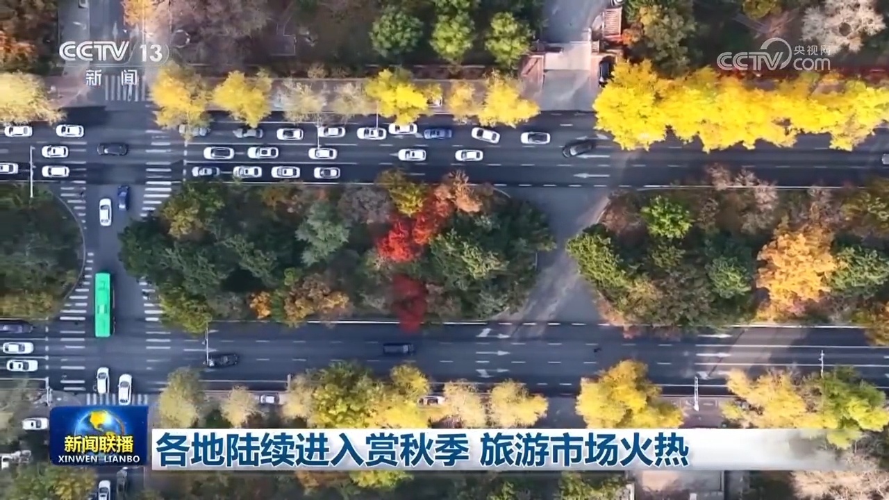 消费稳、旅游热、运输旺！各领域数据火热 中国经济增长动力十足