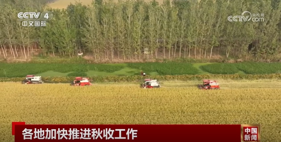 金秋十月五谷丰登 各地秋收秋种工作“热火朝天”夯实粮食丰收基础