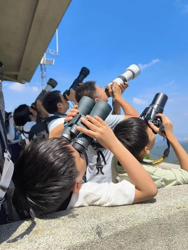迎最佳观鸟季,大湾区有这些观赏点→ 迎最佳观鸟季,大湾区有这些观赏点→