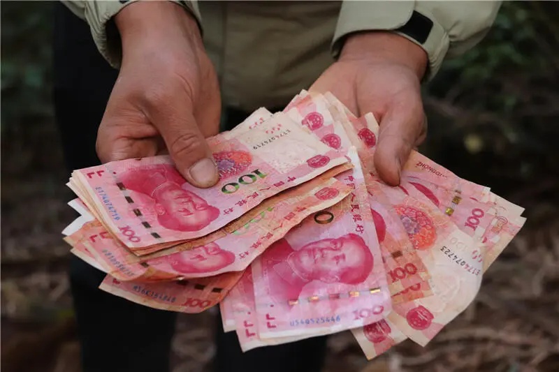 谁撒的，满地都是！云南野生动物园鸵鸟展示区散落万元现金
