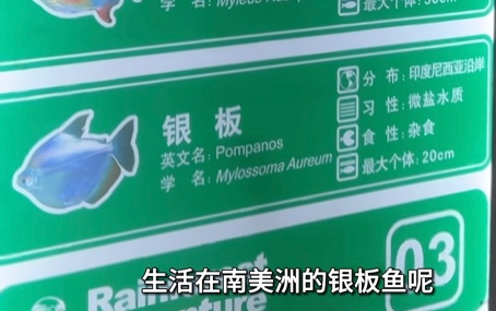 “不能耽误小孩认知”，网友质疑海洋馆多处鱼类铭牌错误，官方回应……