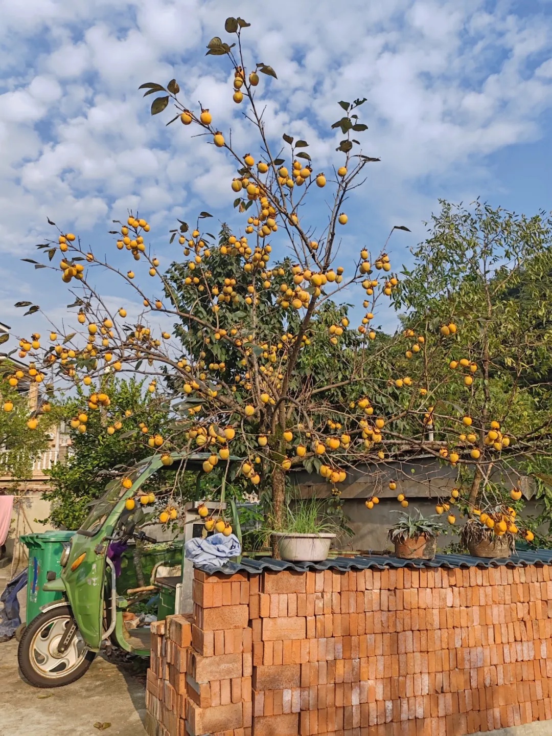 正大量上市!小心这口美味,小伙狂“炫”后进医院!医生紧急提醒 正大量上市!小心这口美味,小伙狂“炫”后进医院!医生紧急提醒