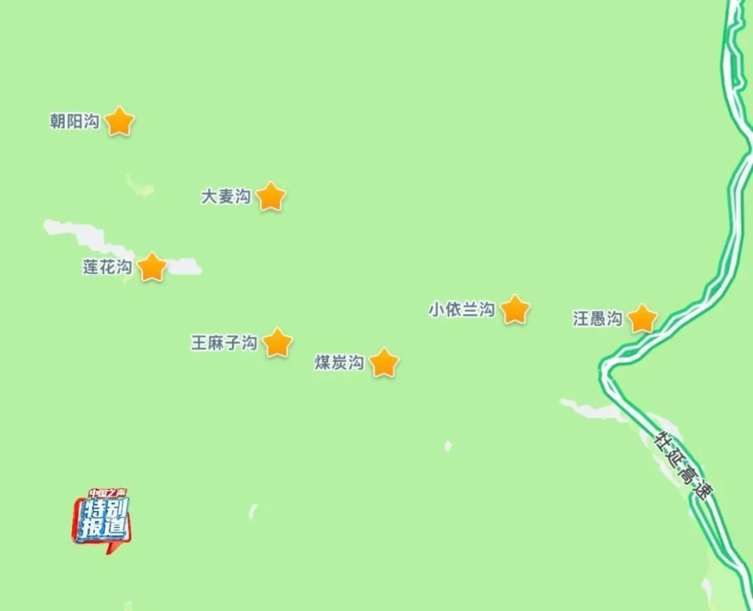 树倒草斑秃!延吉一林场被曝放牧严重,禁牧标牌成摆设! 树倒草斑秃!延吉一林场被曝放牧严重,禁牧标牌成摆设!