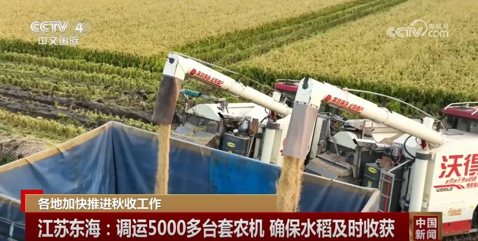 金秋十月五谷丰登 各地秋收秋种工作“热火朝天”夯实粮食丰收基础