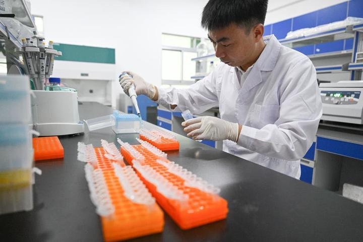 种在盐碱地、灌溉用海水,这样的“海水蔬菜”好吃吗? 种在盐碱地、灌溉用海水,这样的“海水蔬菜”好吃吗?