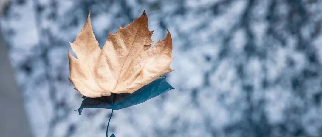 8°C、雨又来了！南京最新预测