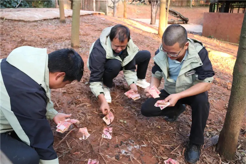 谁撒的，满地都是！云南野生动物园鸵鸟展示区散落万元现金