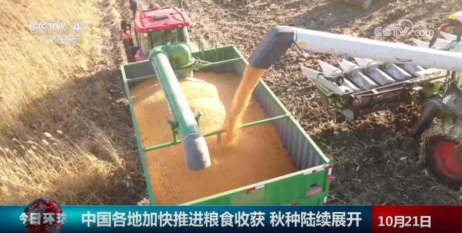 金秋十月五谷丰登 各地秋收秋种工作“热火朝天”夯实粮食丰收基础