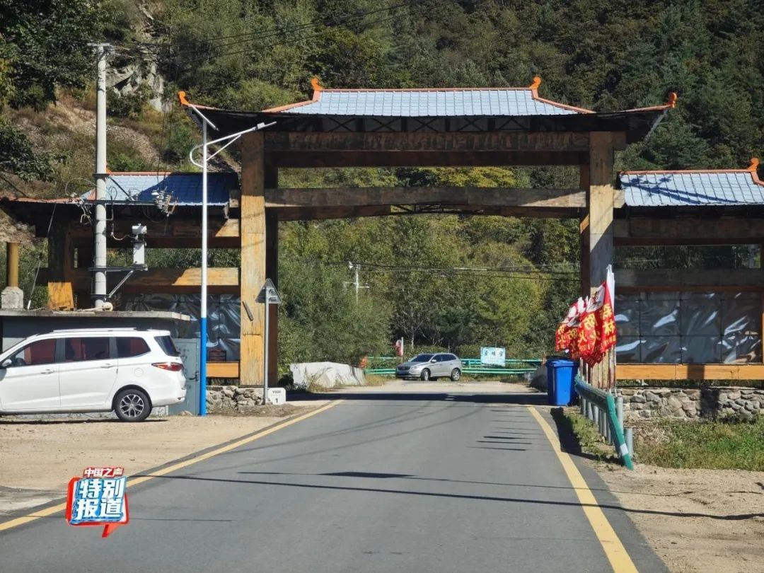 树倒草斑秃!延吉一林场被曝放牧严重,禁牧标牌成摆设! 树倒草斑秃!延吉一林场被曝放牧严重,禁牧标牌成摆设!