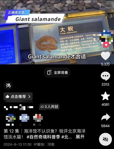 “不能耽误小孩认知”，网友质疑海洋馆多处鱼类铭牌错误，官方回应……