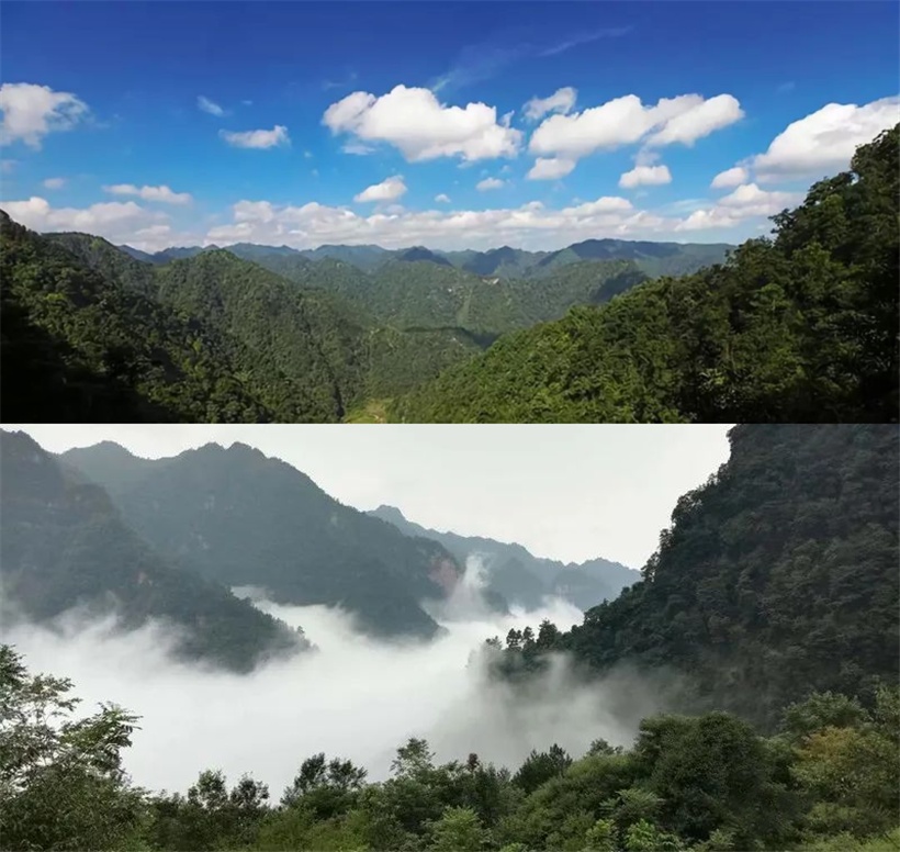 好野！贵州人有自己的“哀牢山”