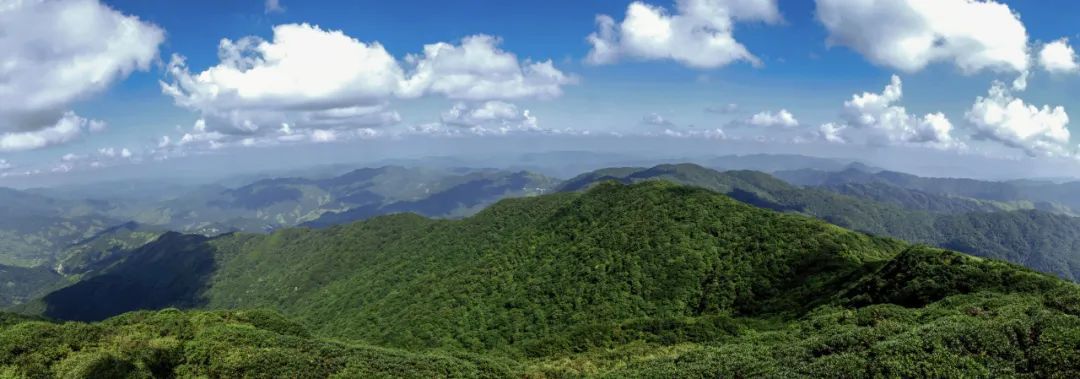 好野！贵州人有自己的“哀牢山”