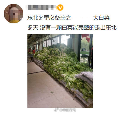 东北囤秋菜给了南方人亿点点震撼