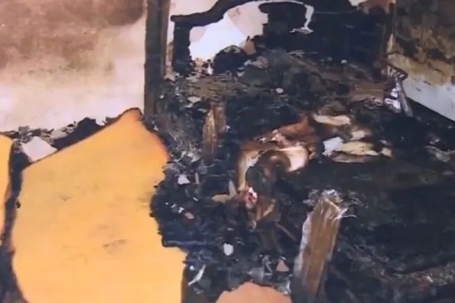 酒后高空抛物+纵火,男子获刑3年3个月! 酒后高空抛物+纵火,男子获刑3年3个月!