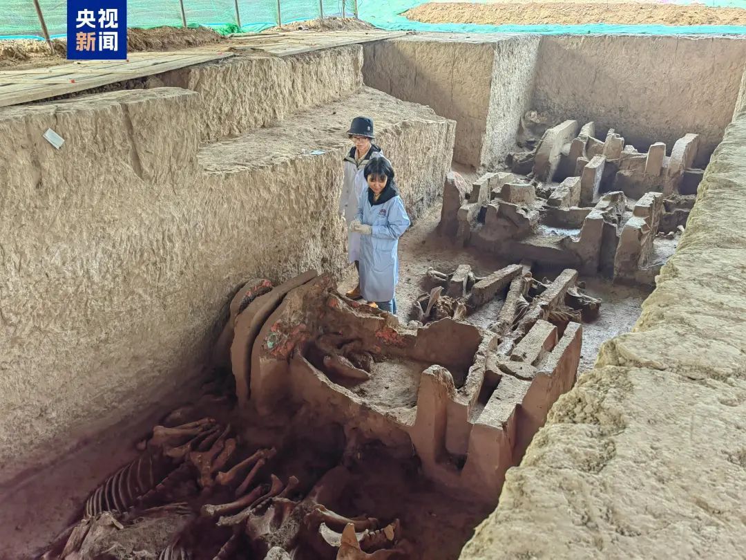 西安新发掘古墓葬3000余座！