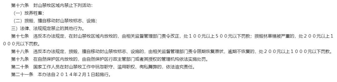 树倒草斑秃!延吉一林场被曝放牧严重,禁牧标牌成摆设! 树倒草斑秃!延吉一林场被曝放牧严重,禁牧标牌成摆设!