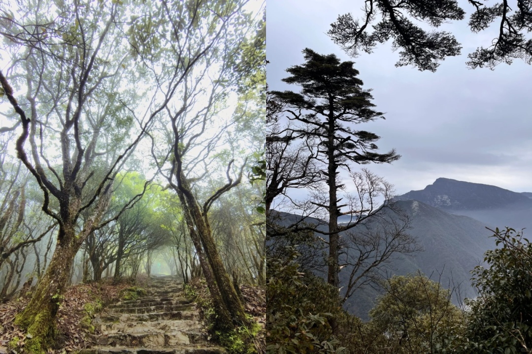 好野！贵州人有自己的“哀牢山”