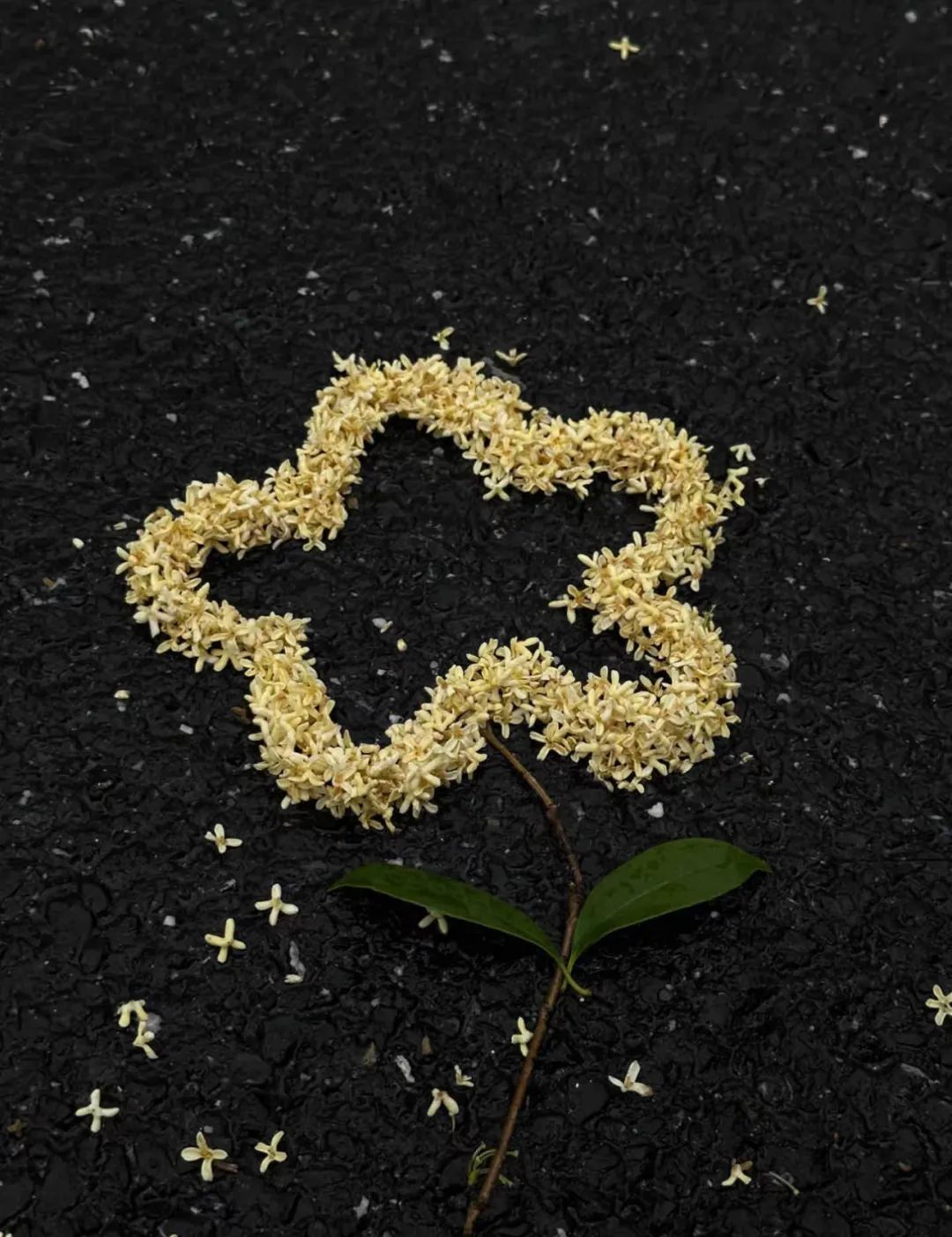 刚刚确认！杭州持续4天！抓紧享受，有新台风要来了