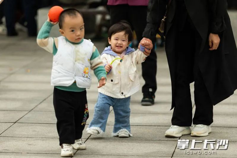 长沙最低温降至11℃! 长沙最低温降至11℃!