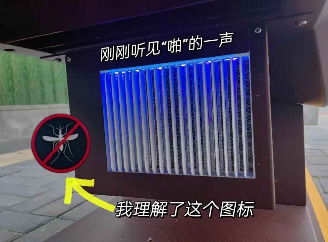 上海街头这些椅子火了！早去才有的坐？网友炸锅