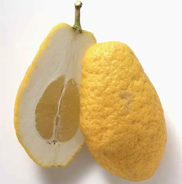 天上掉下的果子，不要随便吃