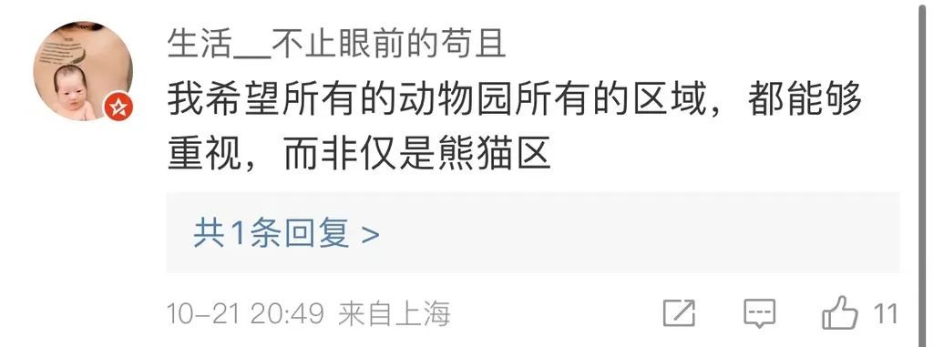重庆动物园大熊猫：谢谢你来看我 但“杂包儿”就别带了