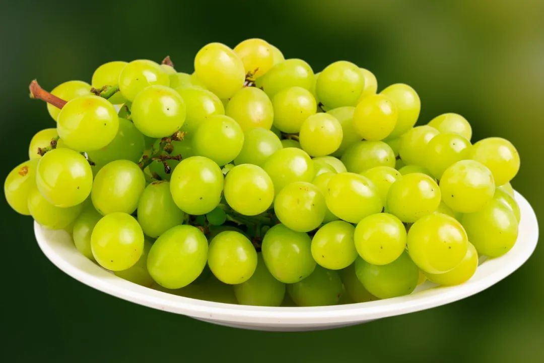 日本晴王葡萄、静冈网纹瓜……消协提示:都是虚假进口! 日本晴王葡萄、静冈网纹瓜……消协提示:都是虚假进口!