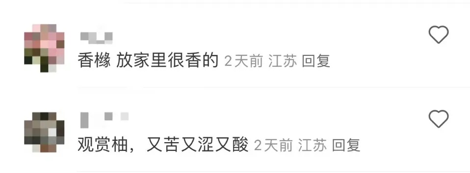 天上掉下的果子，不要随便吃