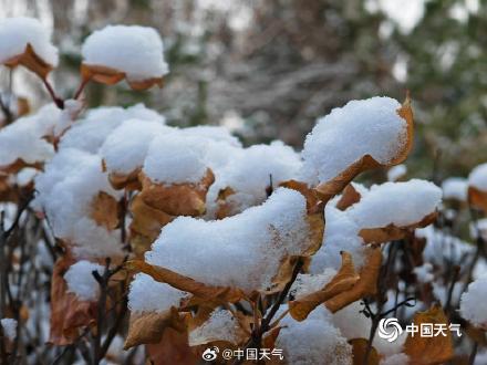 河北崇礼下雪了 冬日氛围感十足 河北崇礼下雪了 冬日氛围感十足