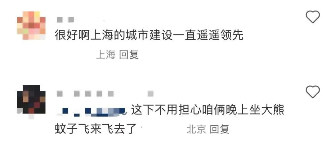 上海街头这些椅子火了！早去才有的坐？网友炸锅