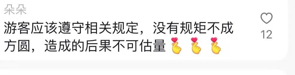 重庆动物园大熊猫：谢谢你来看我 但“杂包儿”就别带了