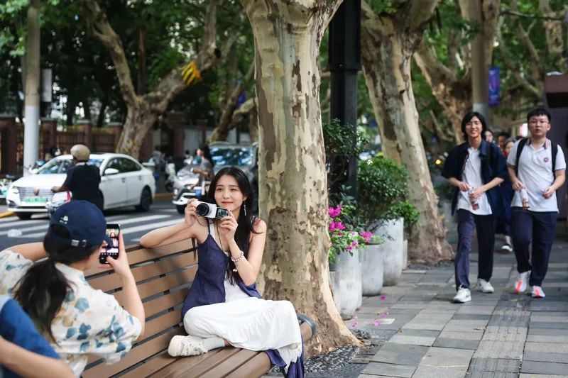 上海街头这些椅子火了！早去才有的坐？网友炸锅