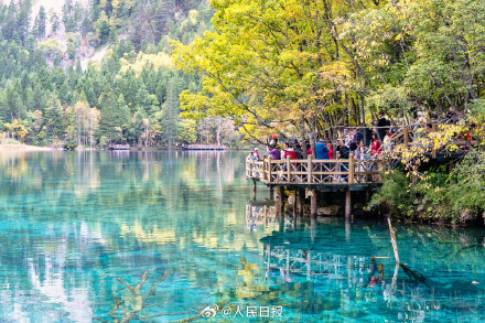 好美！九寨沟高颜值秋景已上线
