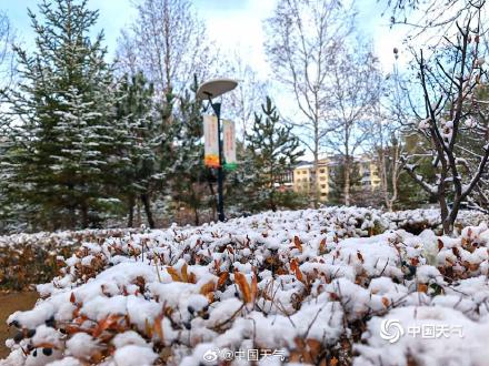 河北崇礼下雪了 冬日氛围感十足 河北崇礼下雪了 冬日氛围感十足