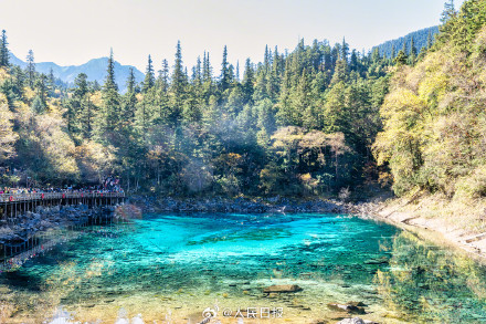 好美！九寨沟高颜值秋景已上线