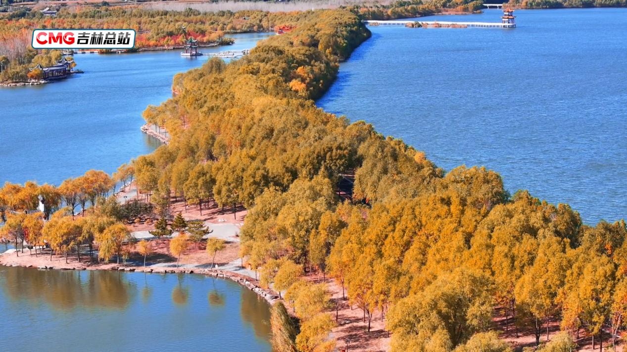 秋韵正浓 | 吉林大安嫩江湾 大自然的“调色盘” 秋韵正浓 | 吉林大安嫩江湾 大自然的“调色盘”