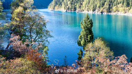 好美！九寨沟高颜值秋景已上线
