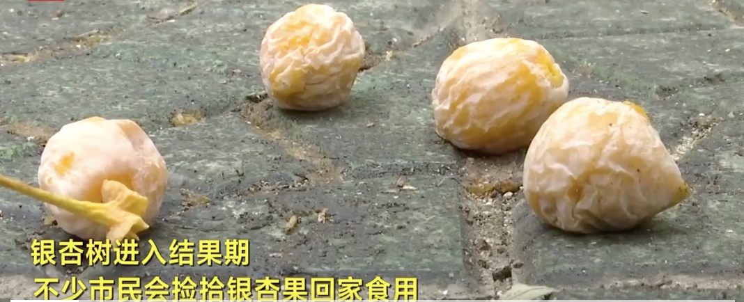 天上掉下的果子，不要随便吃