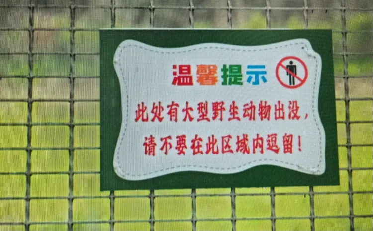 上海一地发现4头梅花鹿,有人被撞伤手臂,相关部门提醒:务必提高警惕 上海一地发现4头梅花鹿,有人被撞伤手臂,相关部门提醒:务必提高警惕