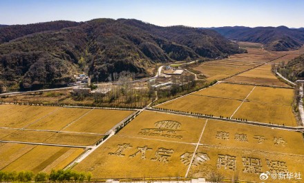 金秋时节打卡陕北好风光南泥湾