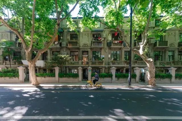 上海街头这些椅子火了！早去才有的坐？网友炸锅