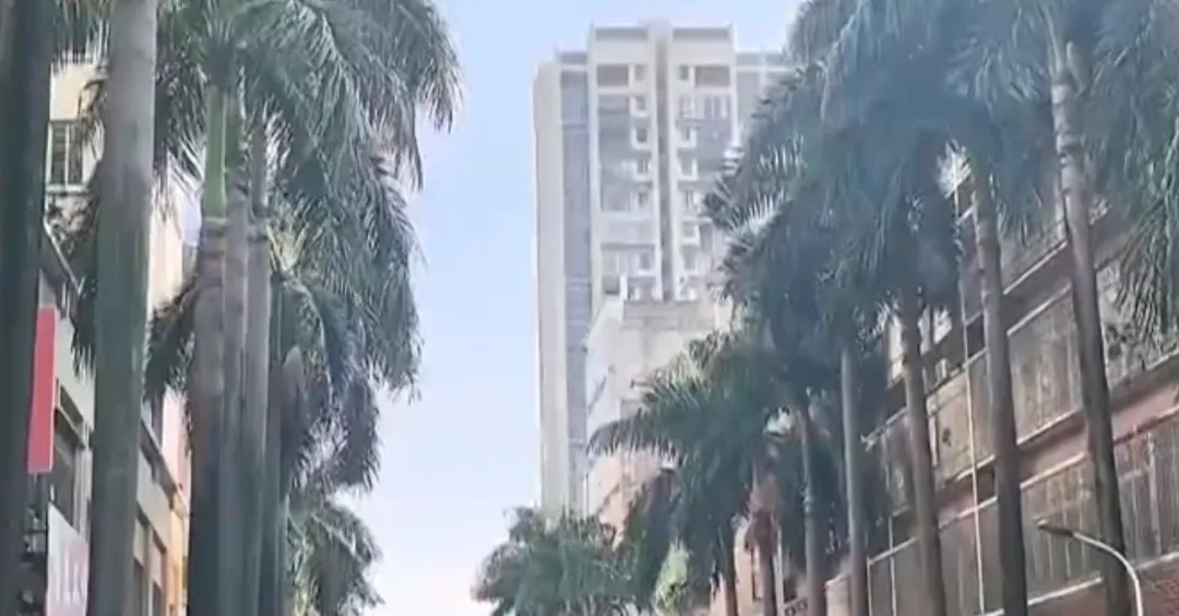 冲上热搜!男子被树叶砸晕,获赔2.2万元 冲上热搜!男子被树叶砸晕,获赔2.2万元