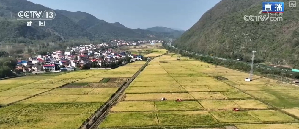 “小农户”对接“大服务” 创新机制助农增收 蹚出粮食丰产新路径