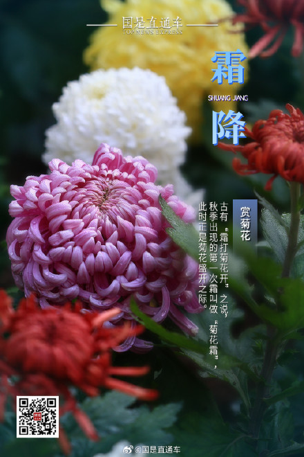 诗句中的24节气:今日霜降 诗句中的24节气:今日霜降