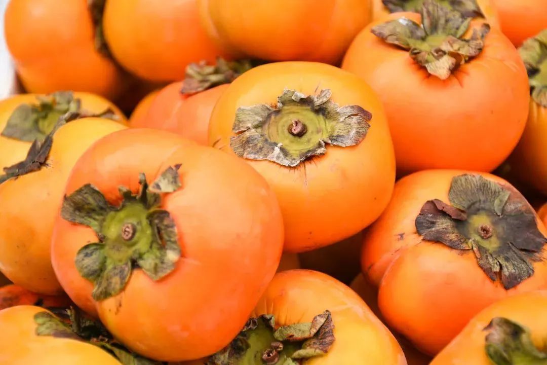 今日霜降，祝你：好柿成“霜”，喜从天“降”！