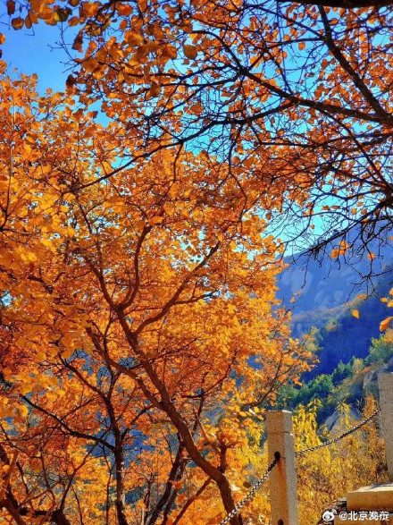 最佳观赏期!北京海淀这座山有着绝美秋景! 最佳观赏期!北京海淀这座山有着绝美秋景!