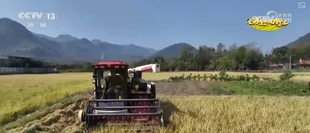 “小农户”对接“大服务” 创新机制助农增收 蹚出粮食丰产新路径