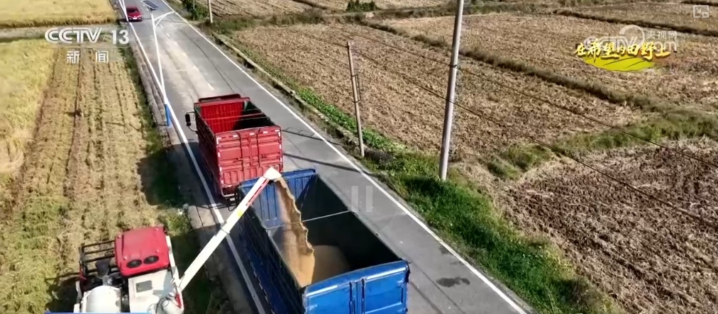 “小农户”对接“大服务” 创新机制助农增收 蹚出粮食丰产新路径